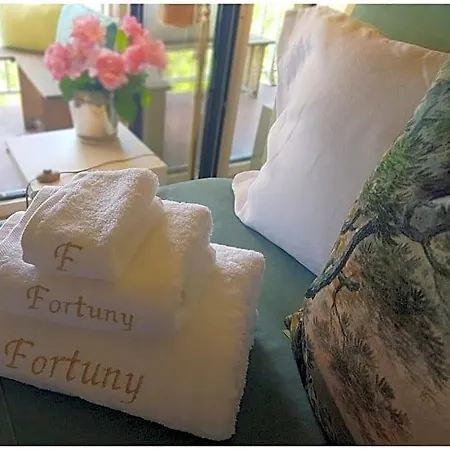 Le Fortuny - 3 Suites, 2 Apparts, 1 - Proche Tram Ligne Aeroport Et Parking Gratuit 4*